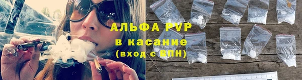 mdpv Елизово