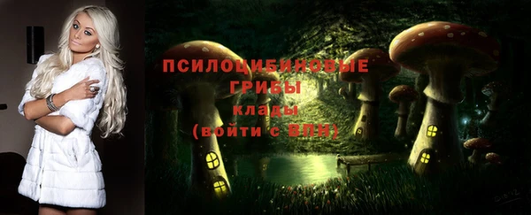 крисы Елабуга