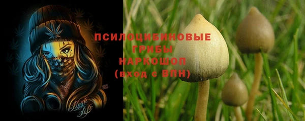 крисы Елабуга
