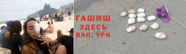 крисы Елабуга