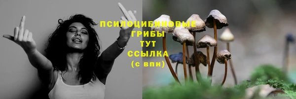 mdpv Елизово