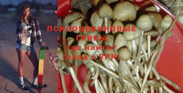 крисы Елабуга