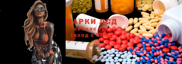 mdpv Елизово