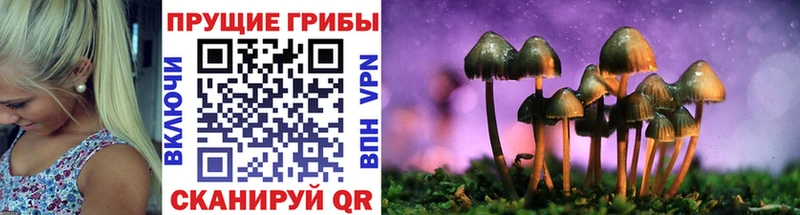Галлюциногенные грибы GOLDEN TEACHER  Реж 