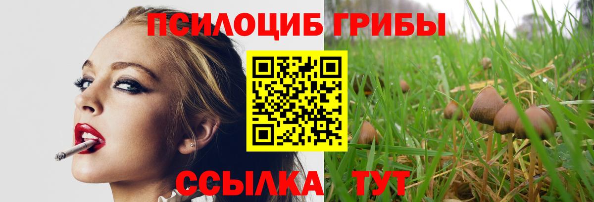 Псилоцибиновые грибы мухоморы  Псилоцибиновые грибы мухоморы  Реж  Вход с VPN 