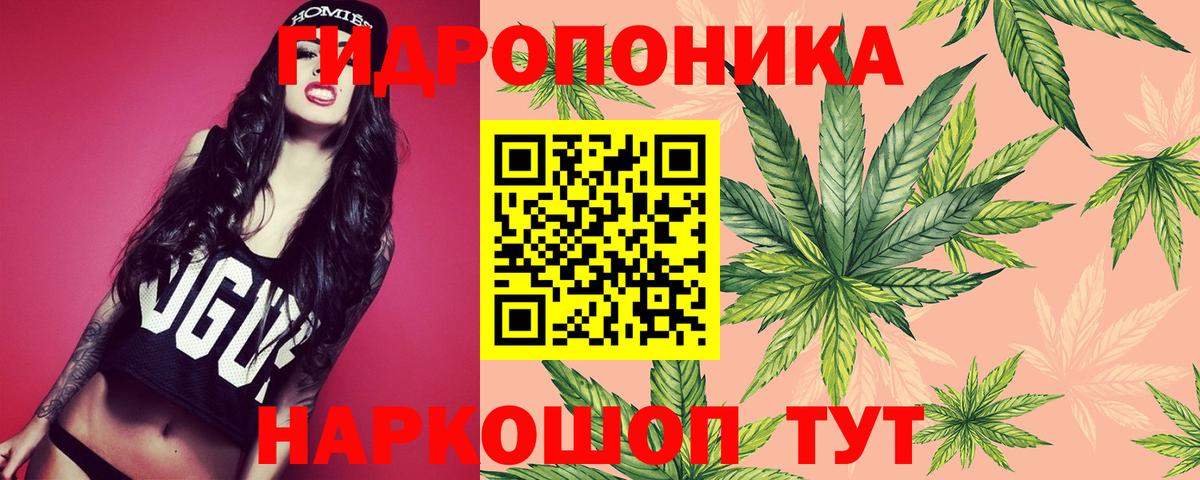 Бошки марихуана план  МАРИХУАНА MAZAR  МАРИХУАНА MAZAR  Вход с VPN  Реж 